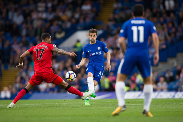 球员在职业 球员在职业